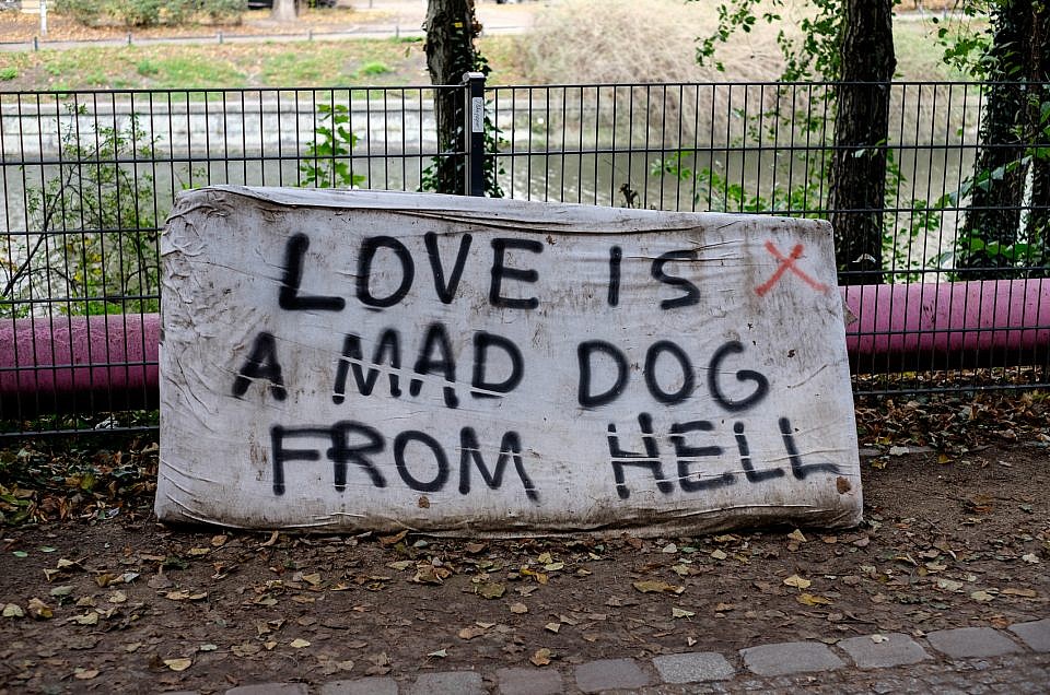 “Love is a mad dog from hell”