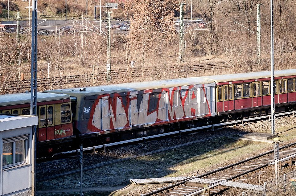 Wholecar Wednesday