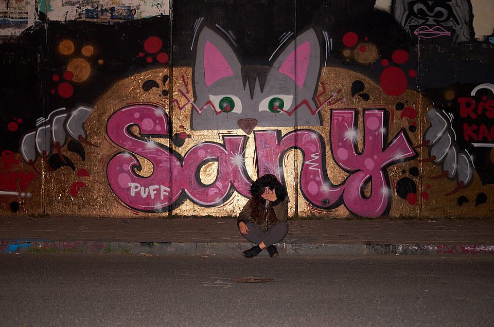Sany